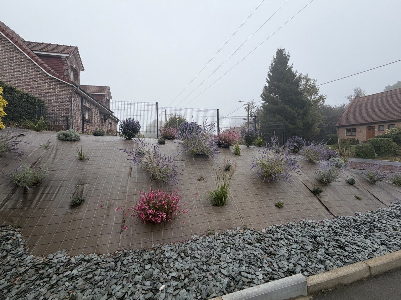 Détail des plantations sur gravier ardoise à Ayette – Hpaysage